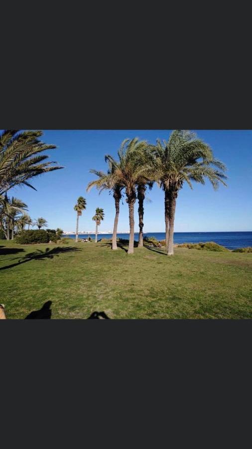 Apartament w Torrevieja, Mar Azul Zewnętrze zdjęcie